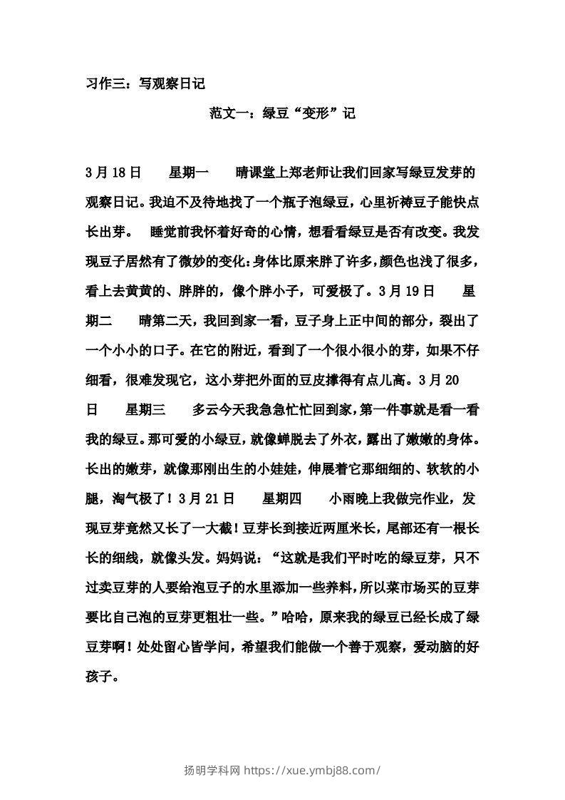 图片[3]-四年级上册语文作文范文(8)-扬明学科网