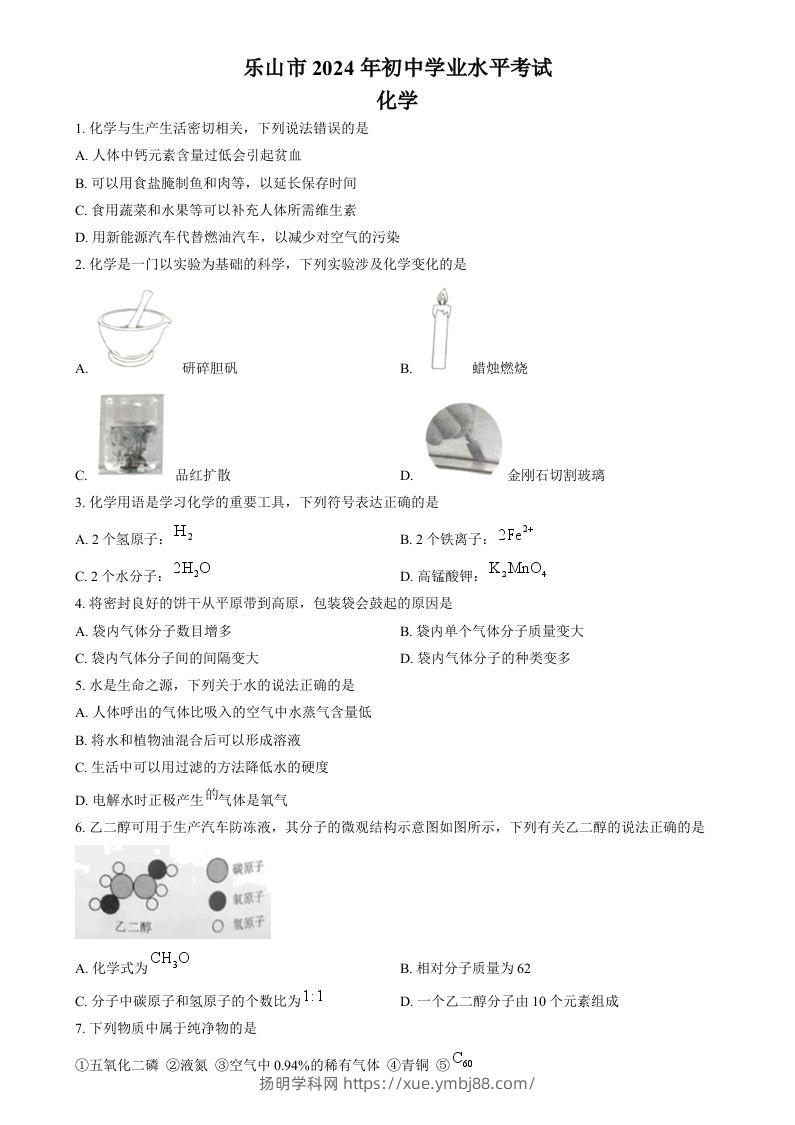 2024年四川省乐山市中考化学真题（空白卷）-扬明学科网