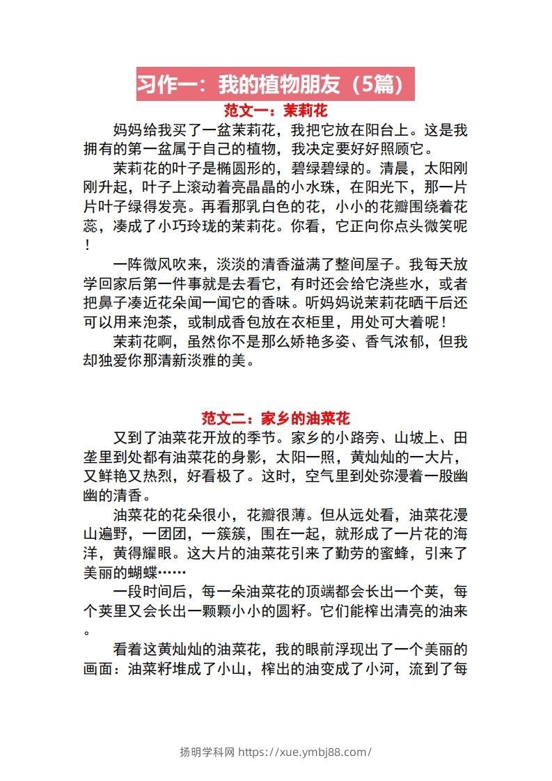 三年级语文下册1-8单元作文范文-扬明学科网