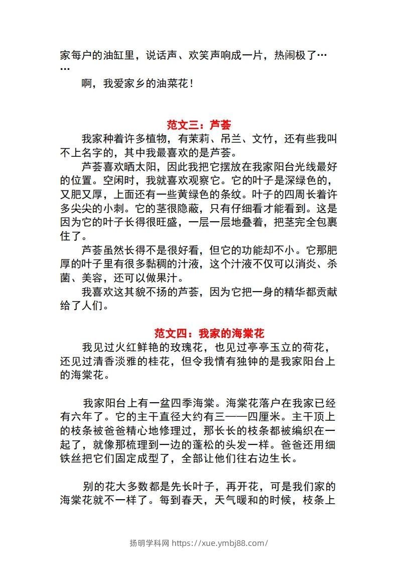图片[2]-三年级语文下册1-8单元作文范文-扬明学科网