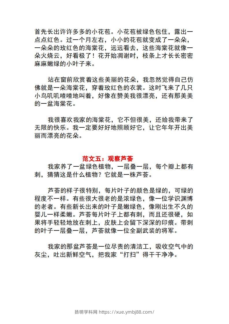 图片[3]-三年级语文下册1-8单元作文范文-扬明学科网