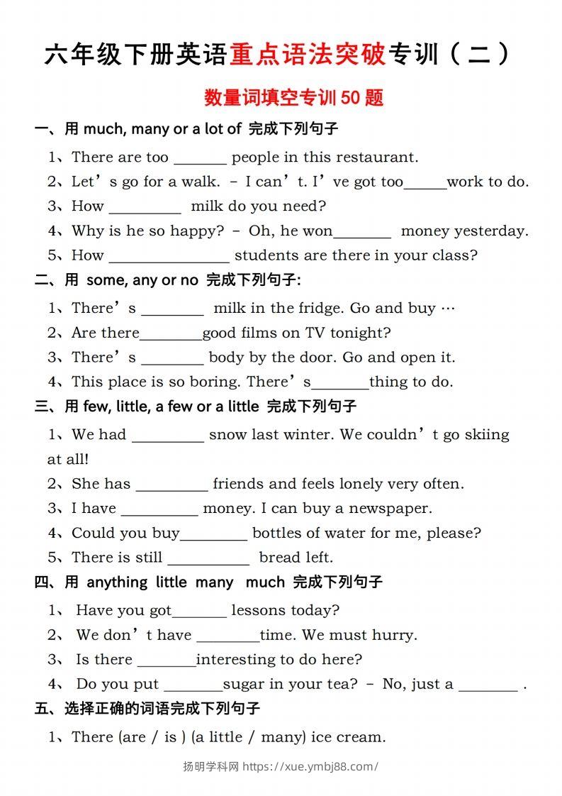 六年级下册人教PEP英语重点语法突破专项训（二）数量词填空-扬明学科网