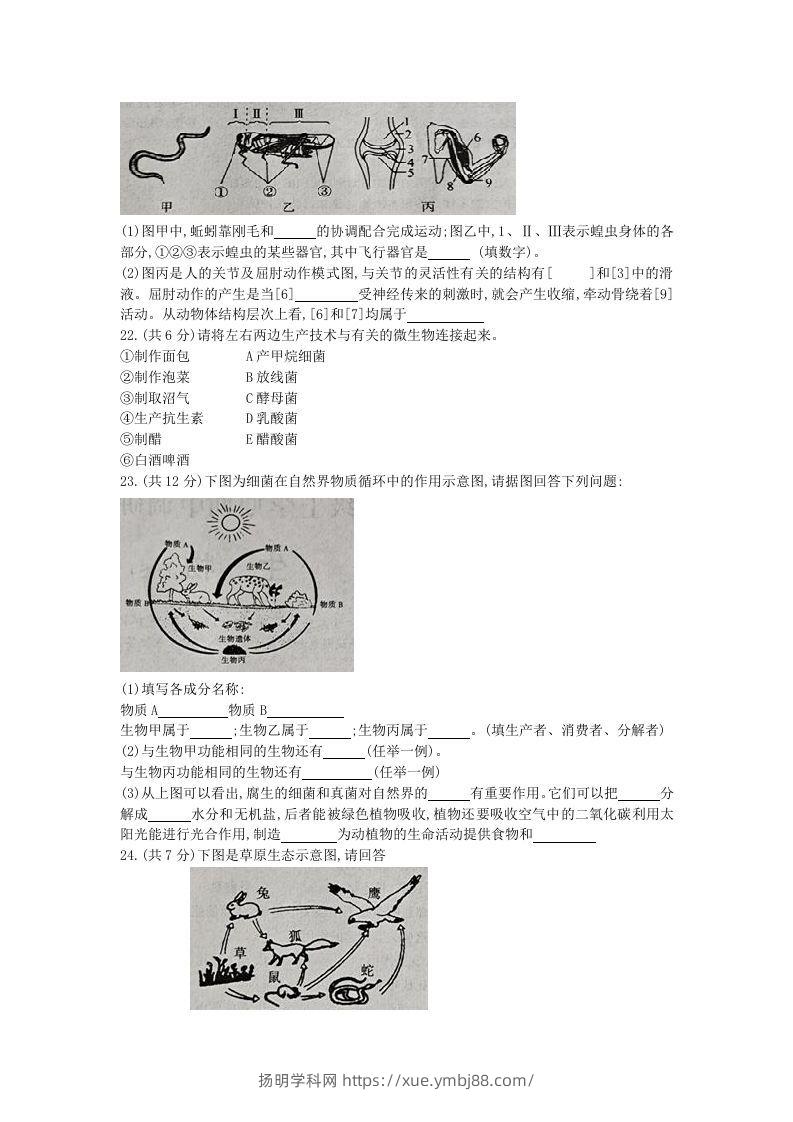 图片[3]-2020-2021学年河南省新乡市卫辉市八年级上学期期中生物试题及答案(Word版)-扬明学科网