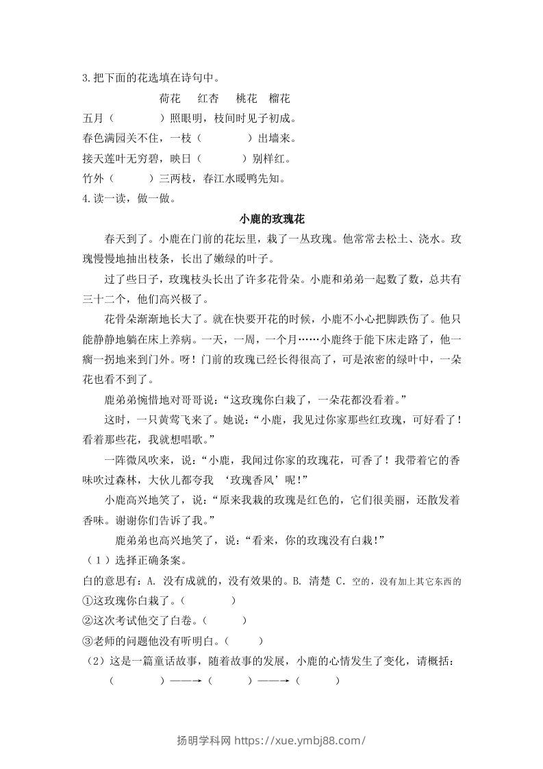 图片[2]-二下语文：第三课时练-扬明学科网