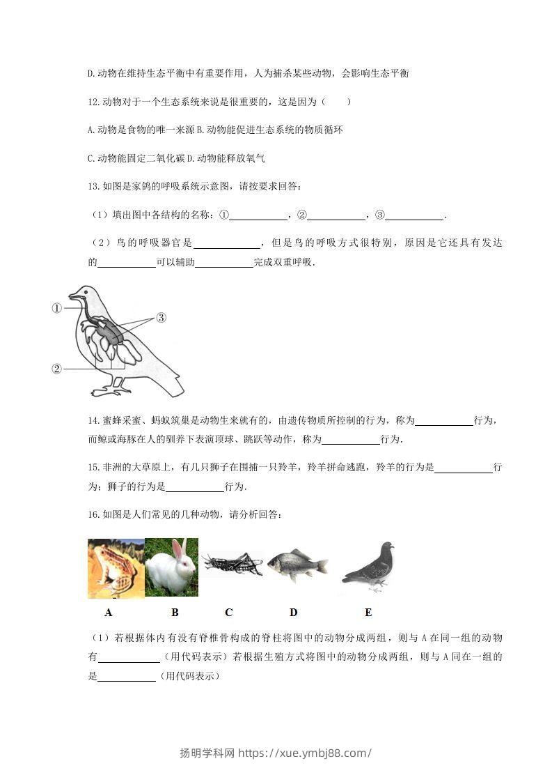 图片[3]-2020-2021学年湖北省黄冈市红安县八年级上学期期中生物试题及答案(Word版)-扬明学科网