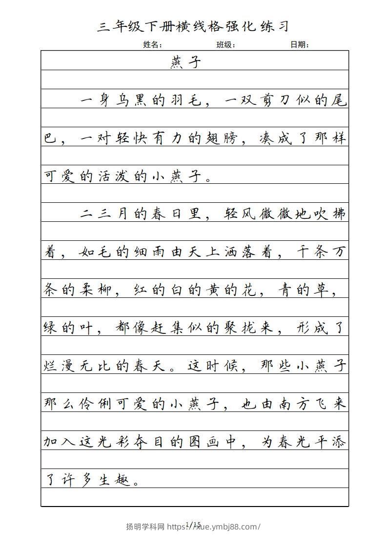 三年级语文下册横线格（部编版）-扬明学科网