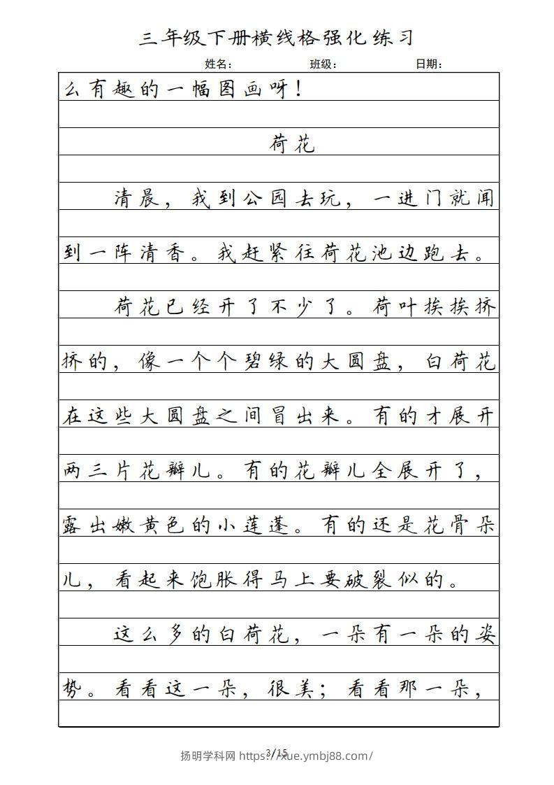 图片[3]-三年级语文下册横线格（部编版）-扬明学科网