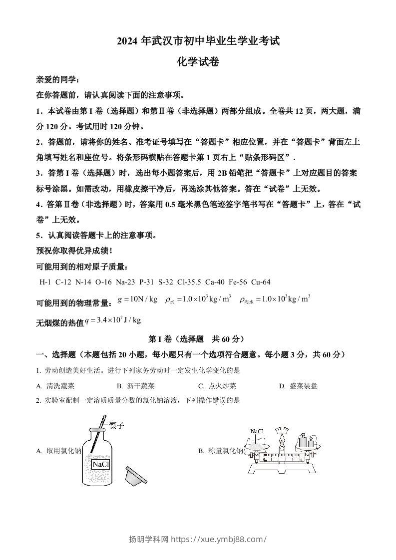 2024年湖北省武汉市中考化学真题（空白卷）-扬明学科网