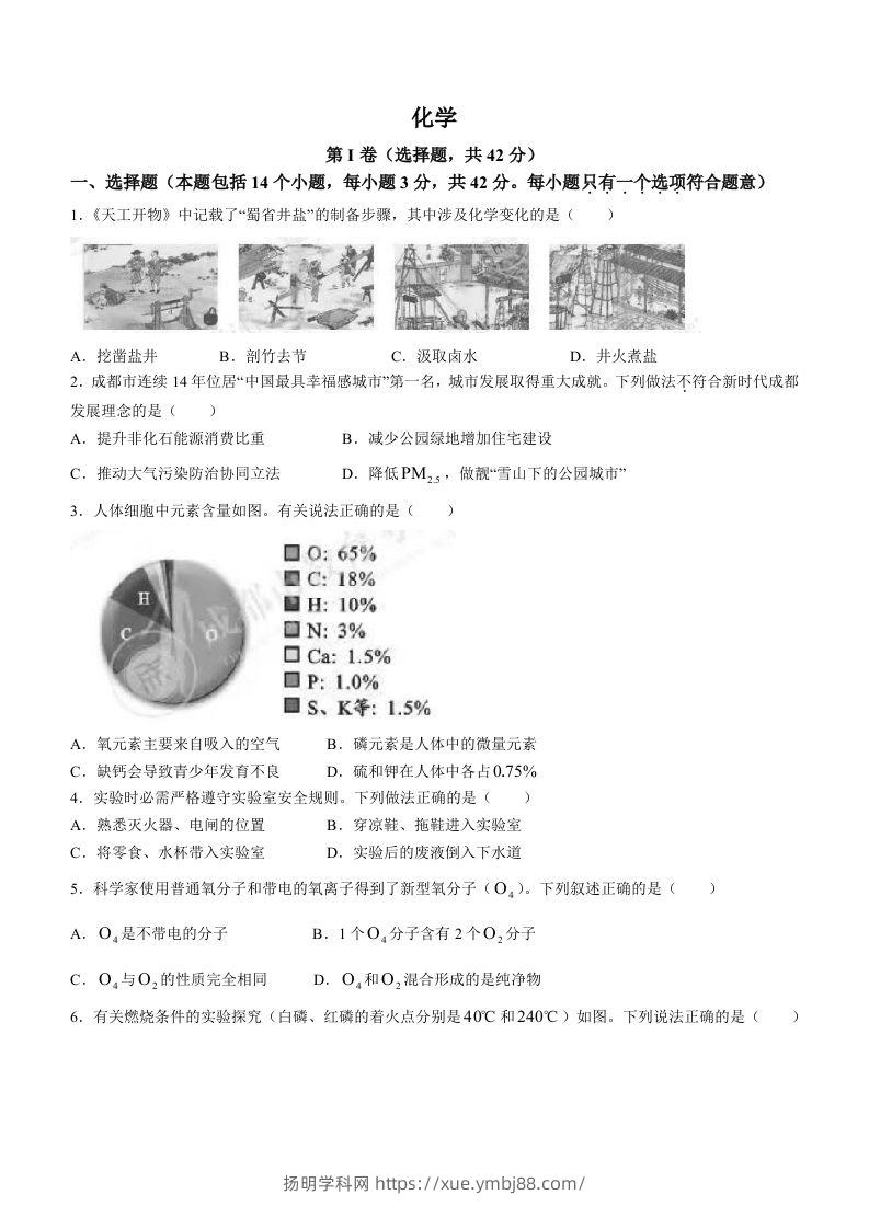 2023年四川省成都市中考化学真题-扬明学科网