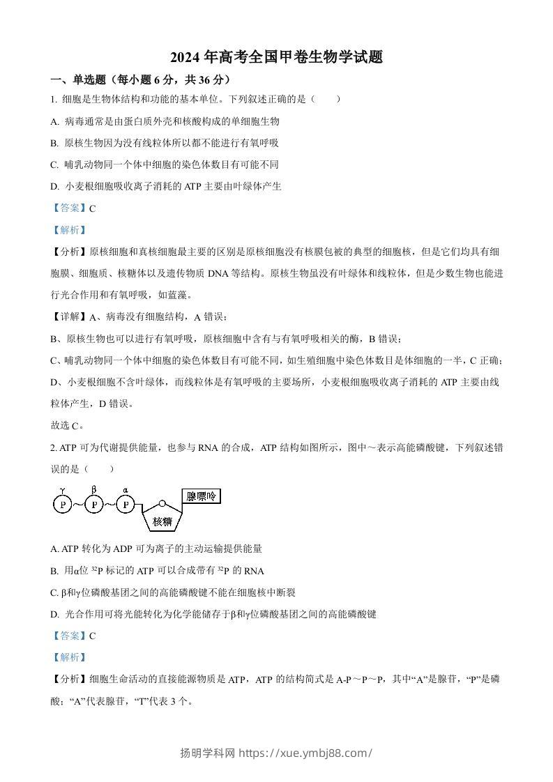 2024年高考生物试卷（全国甲卷）（含答案）-扬明学科网