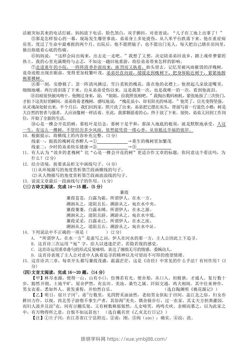 图片[3]-2023-2024学年广西河池市宜州区八年级下学期期中语文试题及答案(Word版)-扬明学科网
