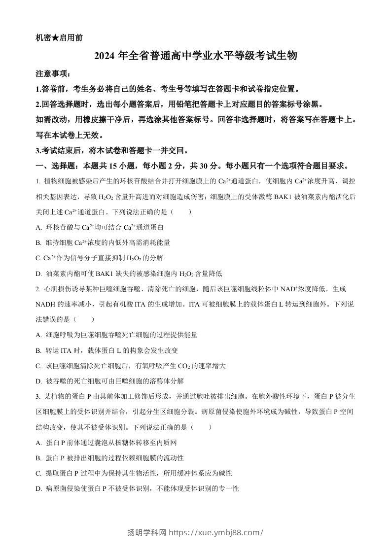 2024年高考生物试卷（山东）（空白卷）-扬明学科网
