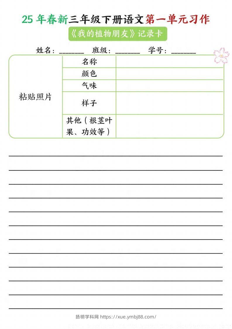 图片[2]-【习作】25年春新三下语文第一单元习作（观察单）16页-扬明学科网