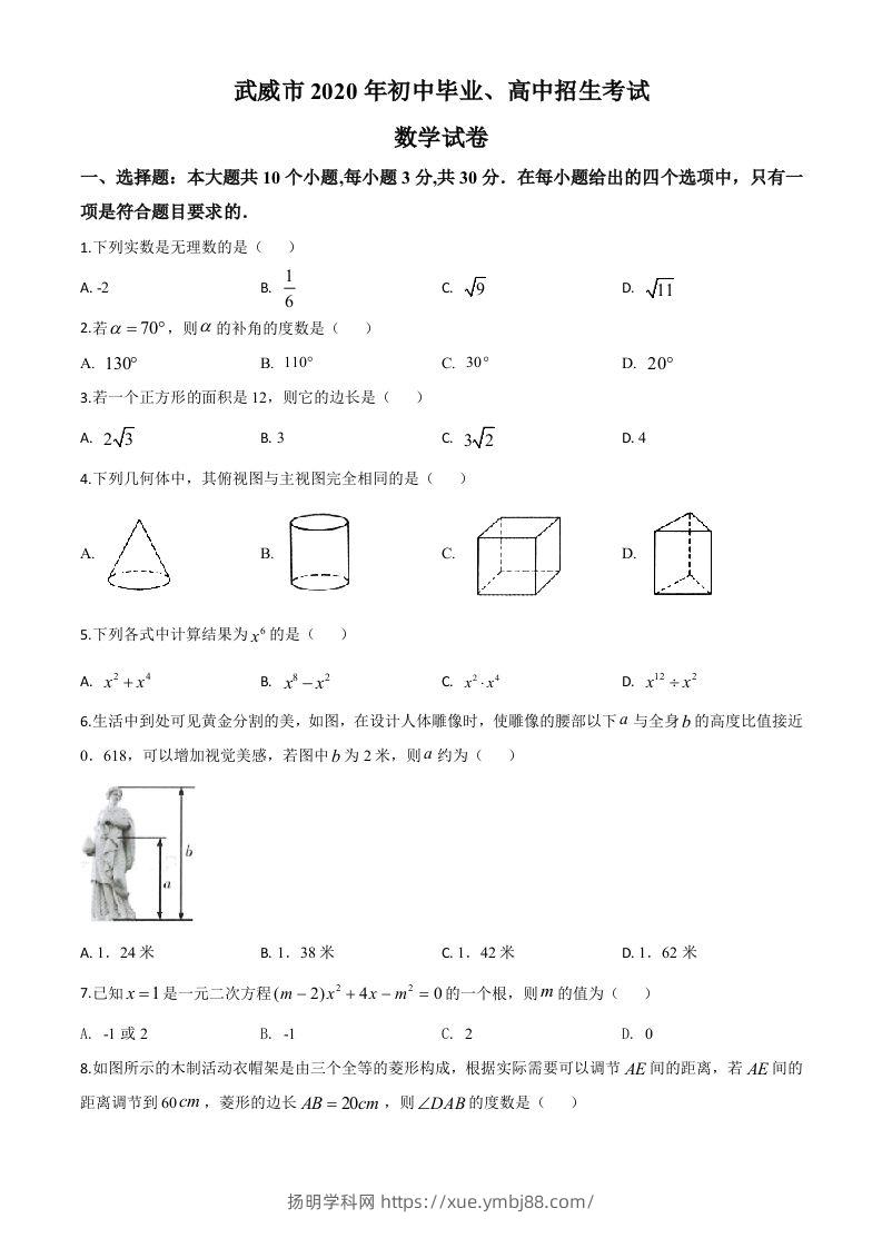 甘肃省武威市2020年中考数学试题（空白卷）-扬明学科网