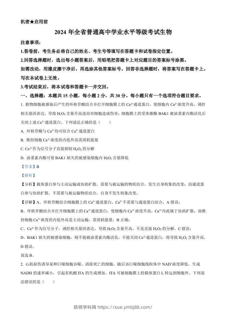 2024年高考生物试卷（山东）（含答案）-扬明学科网