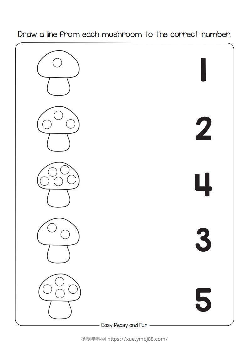 【数学】数学综合-扬明学科网