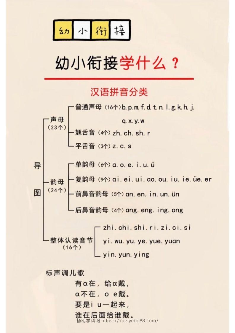 幼小衔接学什么？-扬明学科网