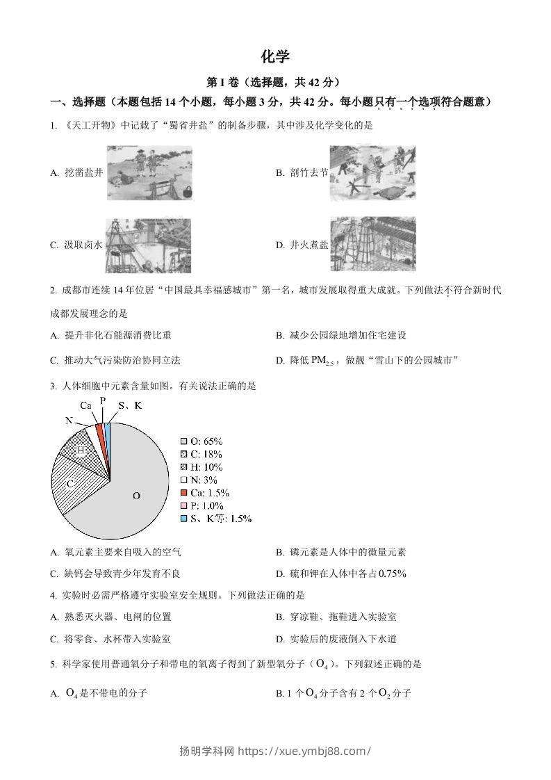 2023年四川省成都市中考化学真题（空白卷）-扬明学科网
