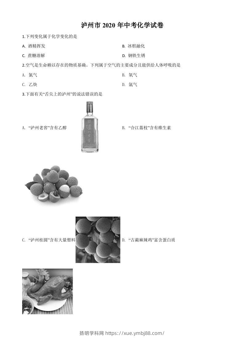 四川省泸州市2020年中考化学试题（空白卷）-扬明学科网