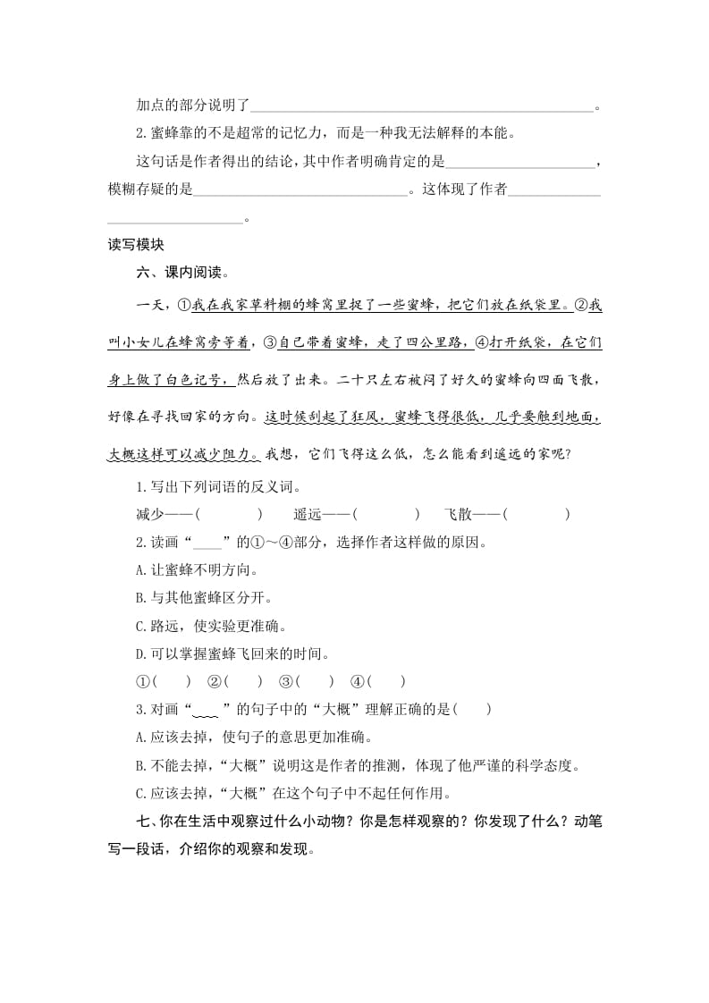 图片[2]-三年级语文下册14蜜蜂-扬明学科网