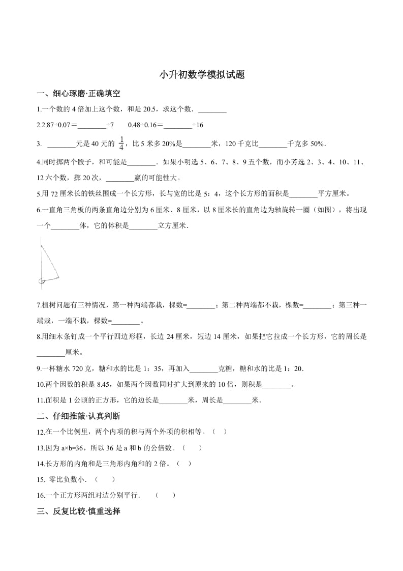 六年级数学下册小升初模拟试题（19）苏教版（含解析）-扬明学科网