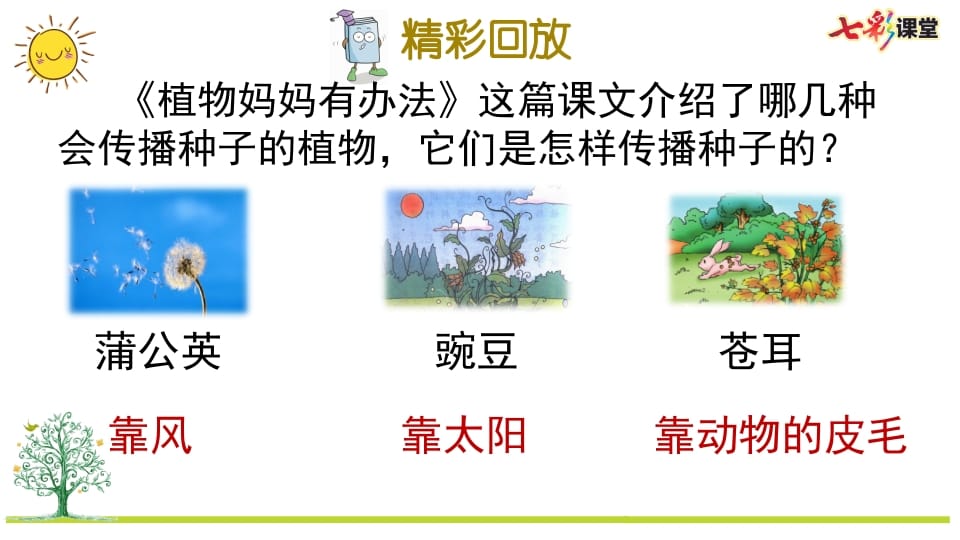 图片[2]-二年级语文上册专项5：课文知识点复习课件（部编）-扬明学科网