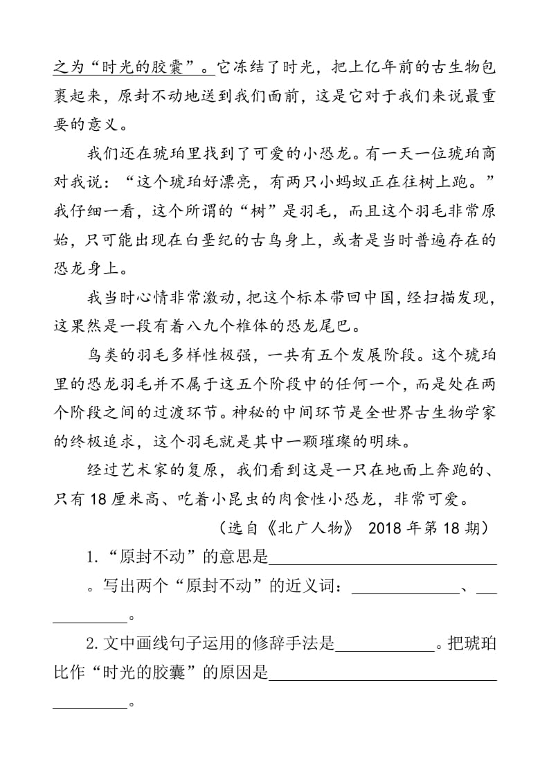 图片[3]-四年级语文下册类文阅读-5琥珀-扬明学科网