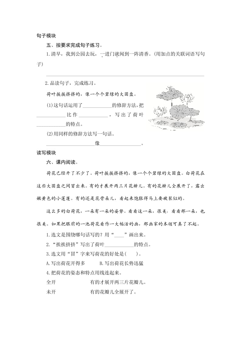 图片[2]-三年级语文下册3荷花-扬明学科网