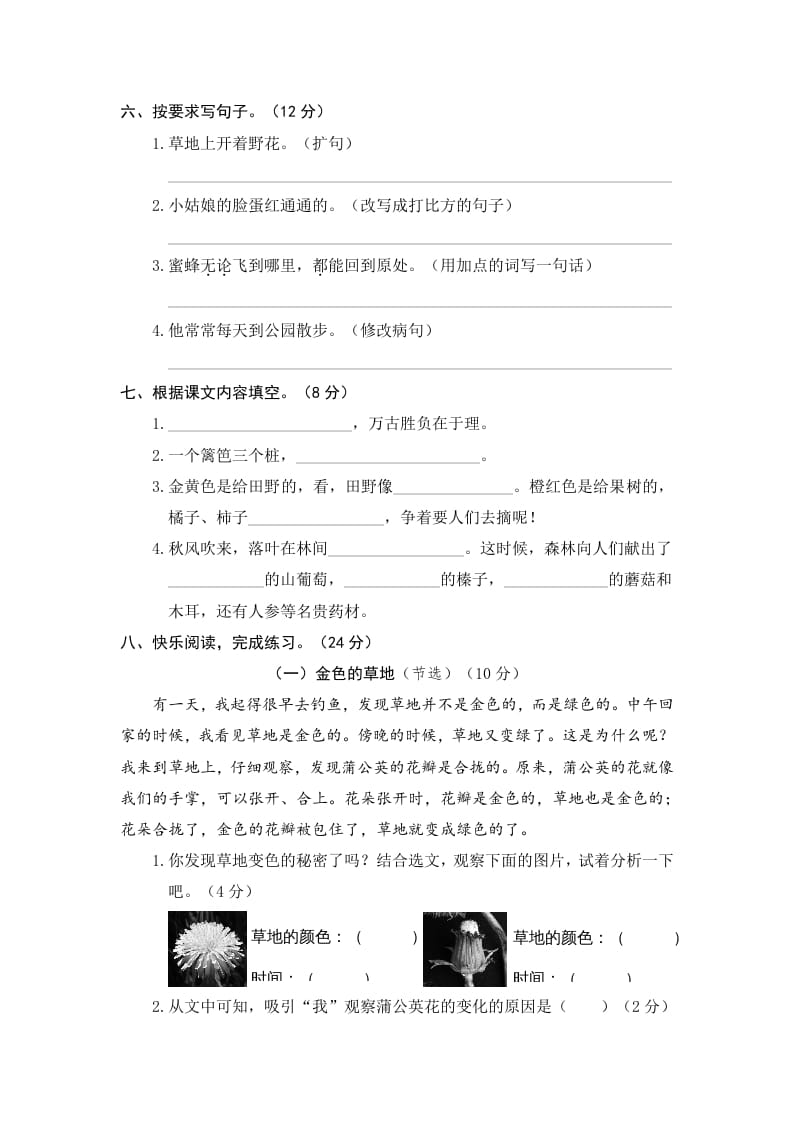 图片[2]-三年级语文上册期末练习(11)（部编版）-扬明学科网