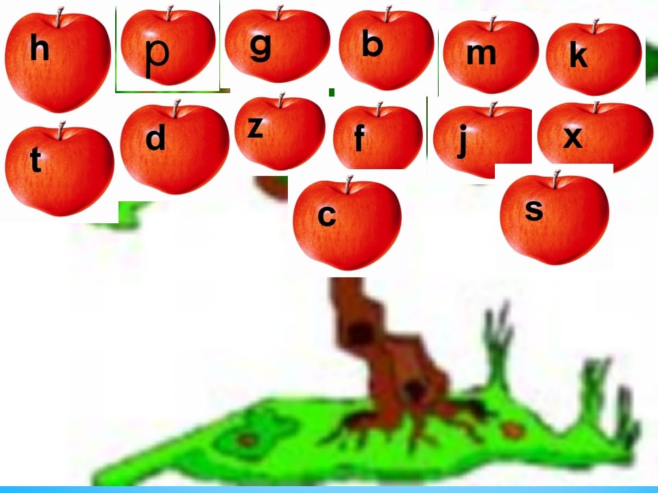 一年级语文上册8.zhchshr课件3（部编版）-扬明学科网