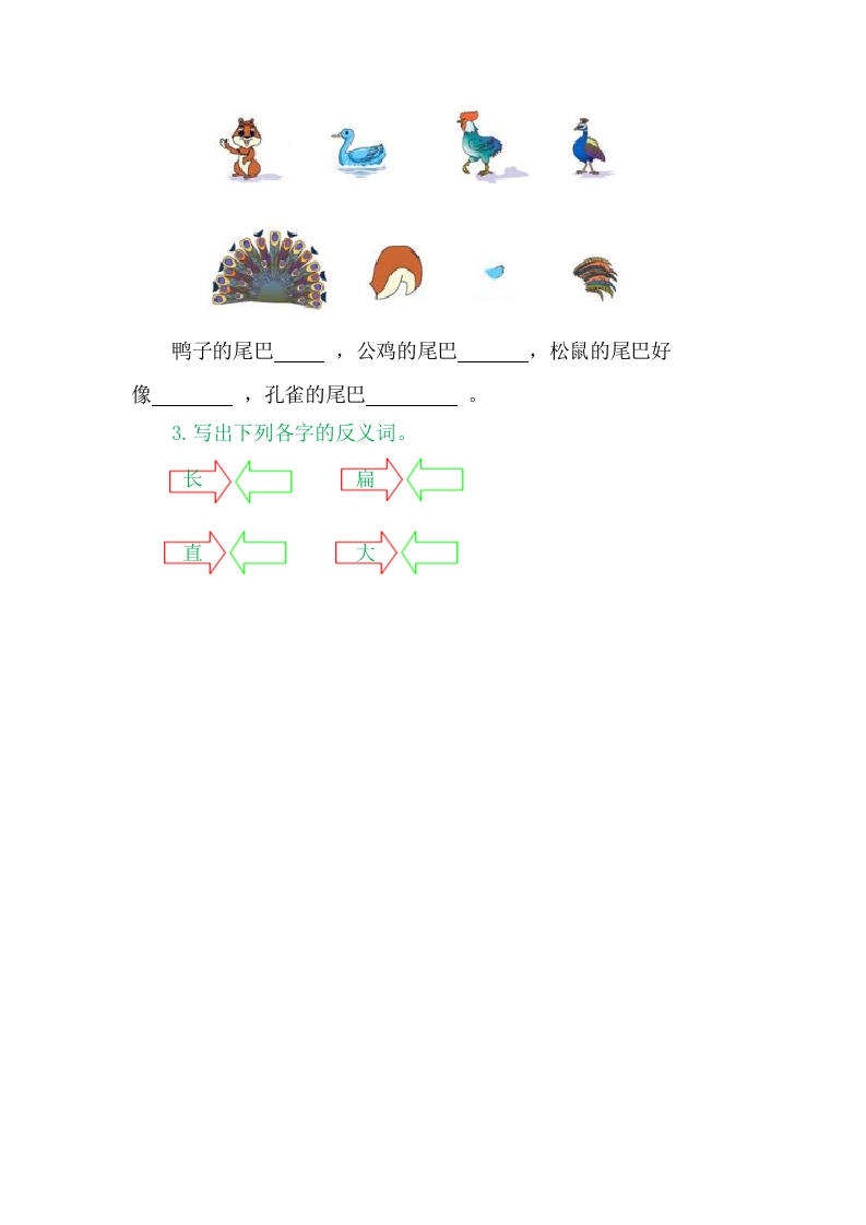图片[2]-二年级语文上册6比尾巴（部编）-扬明学科网